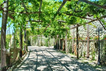 Offerte Hotel Villa Cimmentorosso | Forio | Categoria 3 stelle | Entrata Hotel Villa Cimmento Rosso-Forio-Isola d'Ischia